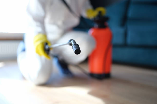 Best Basement Mold Removal  in Clear Lake, WA